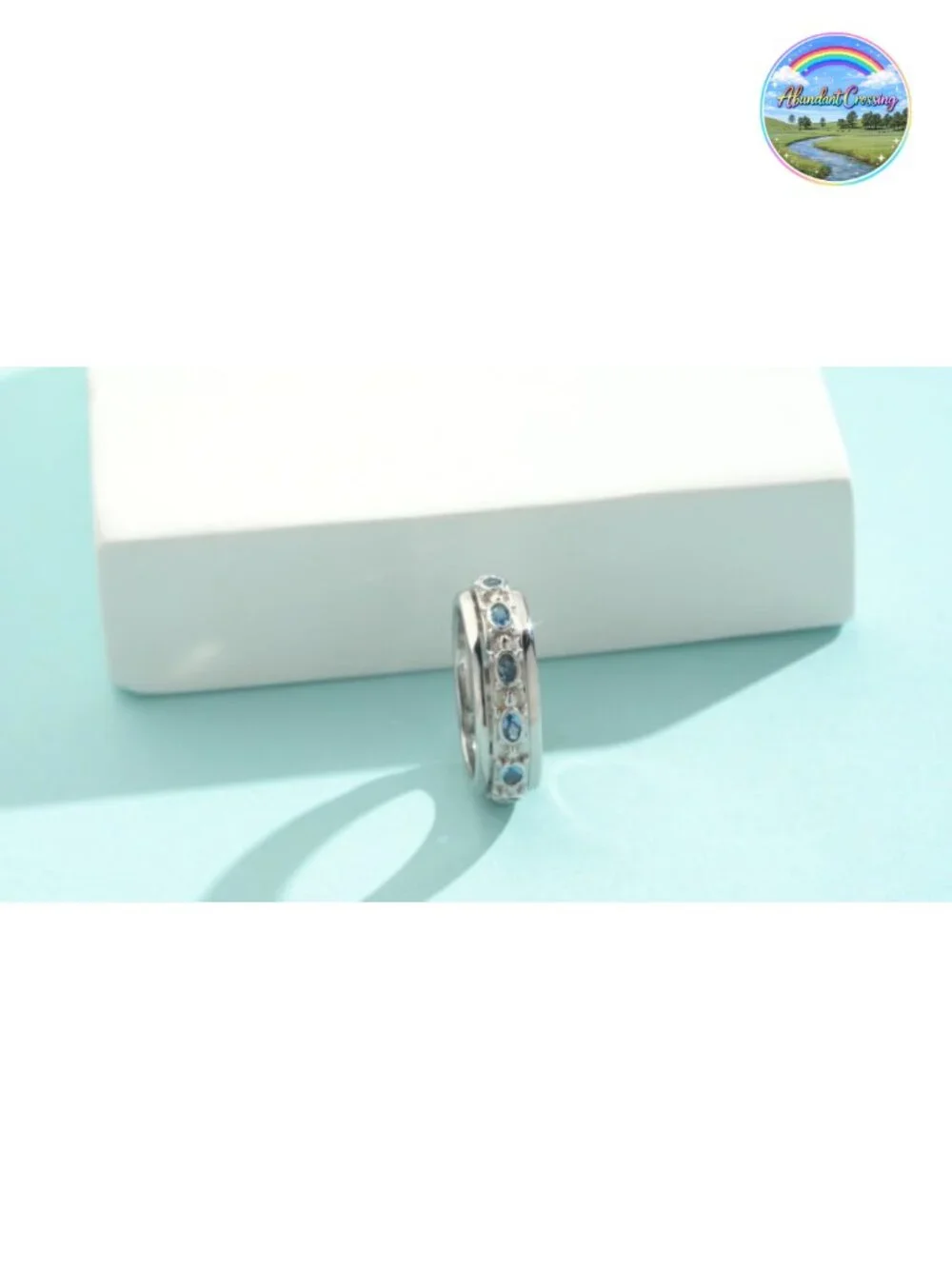 925 Sterling Silver Turtle Spinner Ring Anxiety Fidget Ring Women Stress Relief